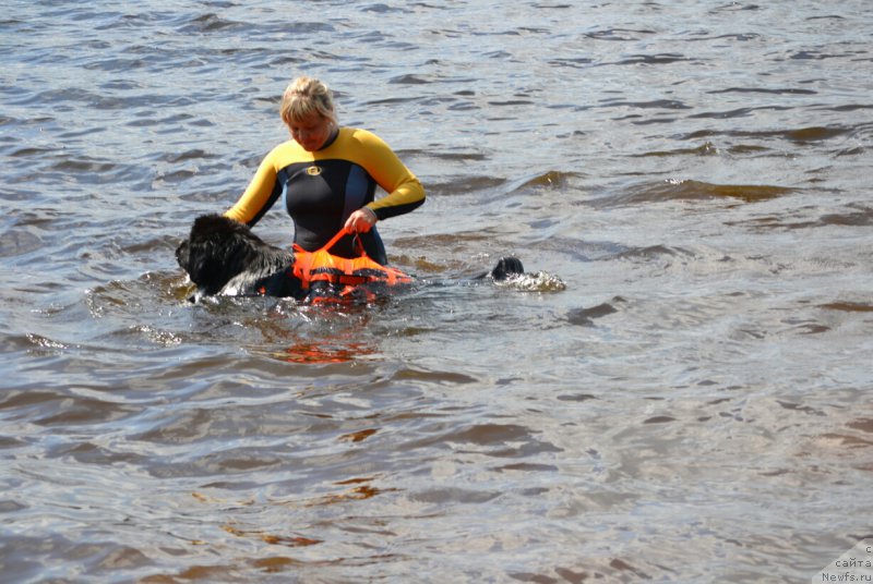 Фотография № 187695