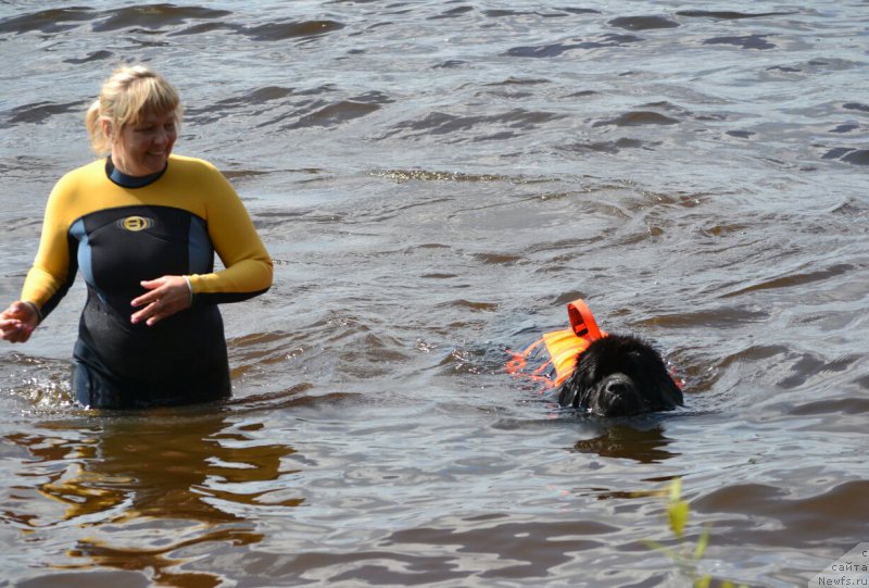 Фотография № 187696