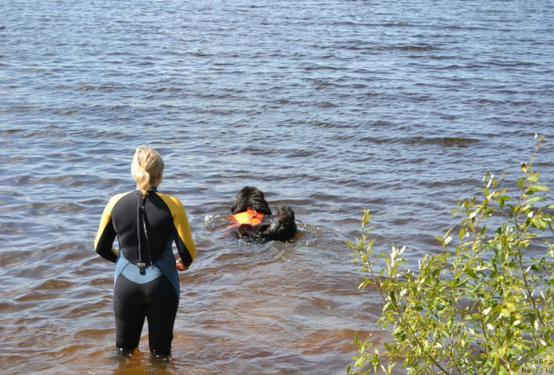 Фотография № 187697