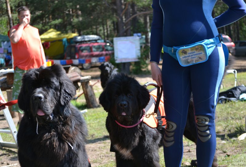 Фотография № 187698