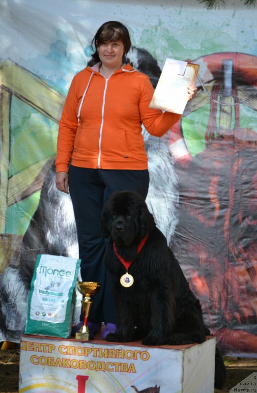 Фотография № 187704