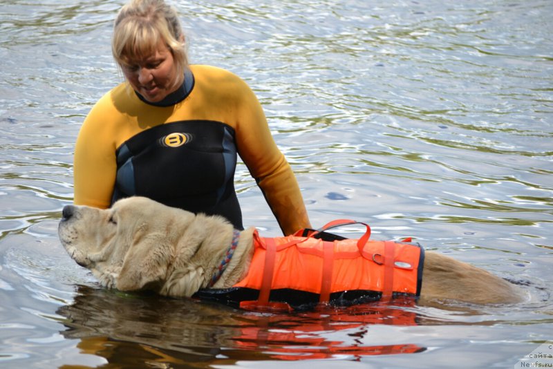 Фото: Elena Votchal (Елена Вотчал)