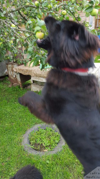 Фотография № 187709