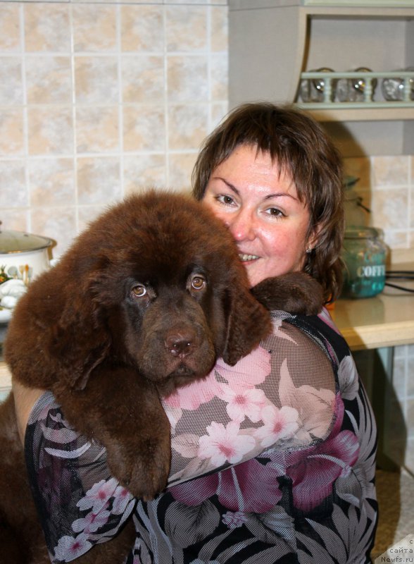 Фотография № 187743