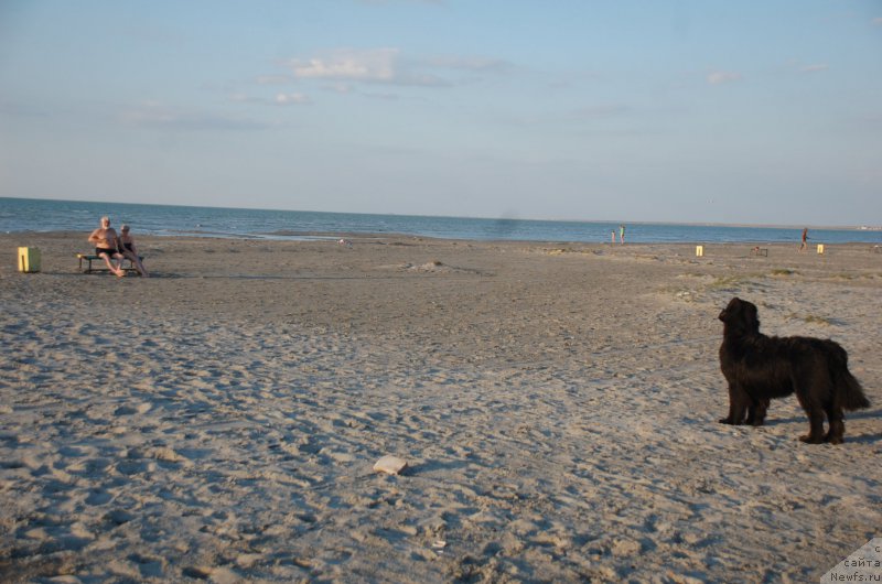 Фотография № 187752