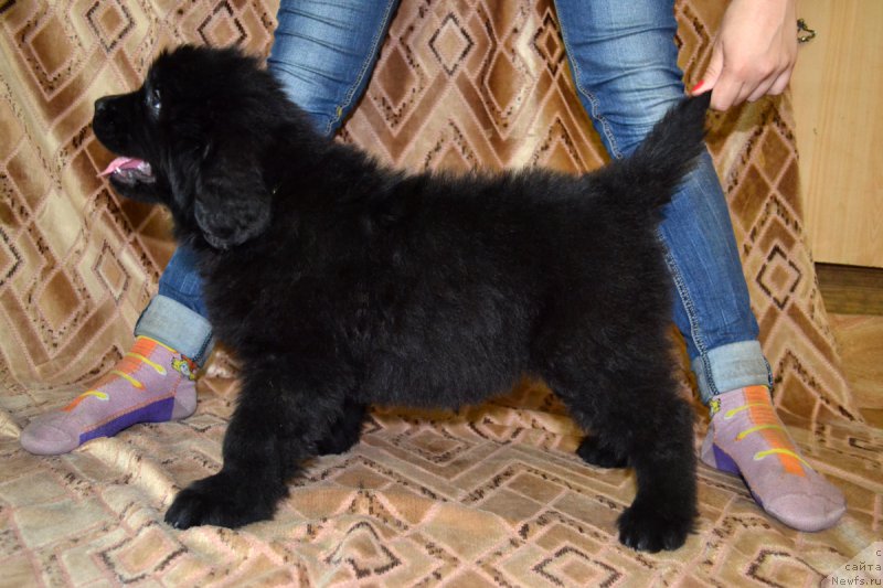 Фотография № 187756