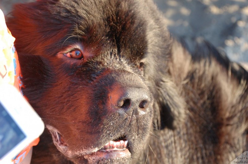 Фотография № 187757