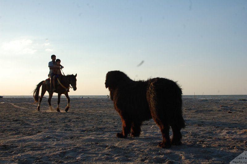 Фотография № 187759