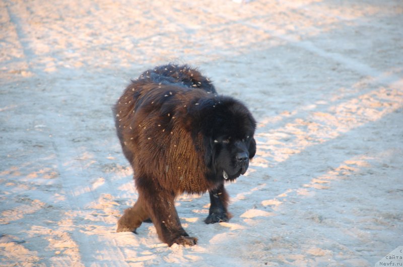 Фотография № 187760