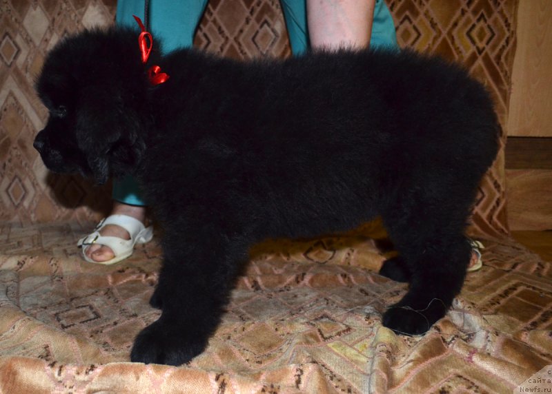 Фотография № 187766