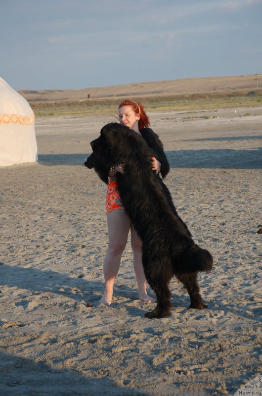 Фотография № 187768