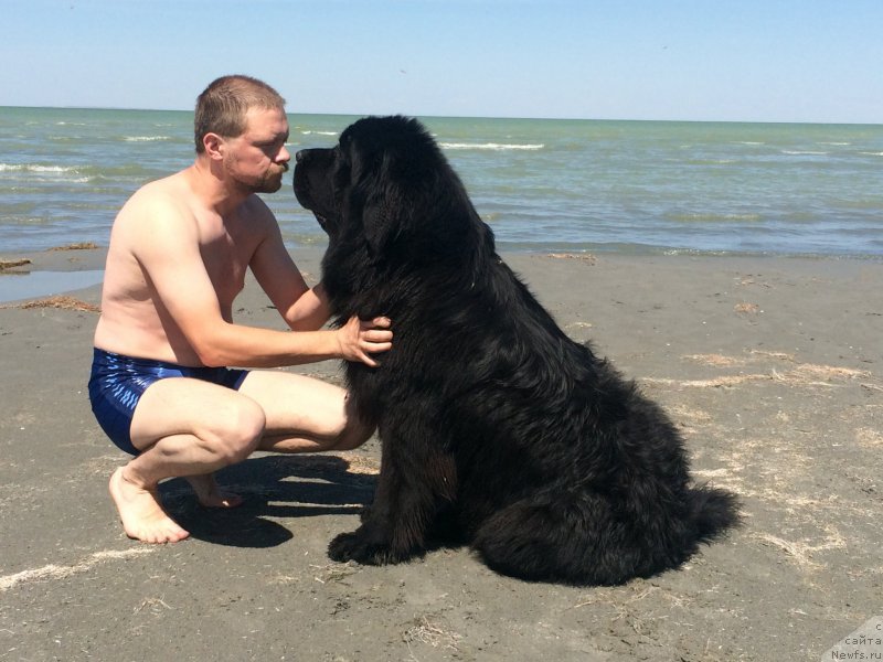 Фотография № 187775