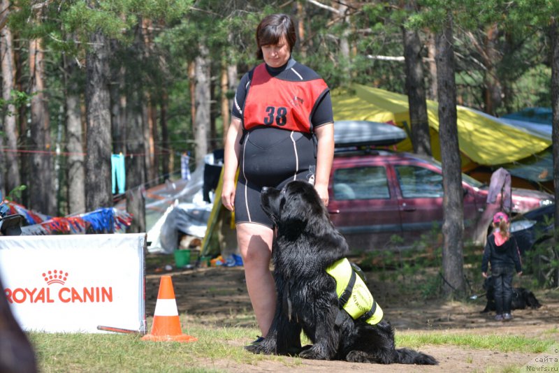 Фотография № 187801