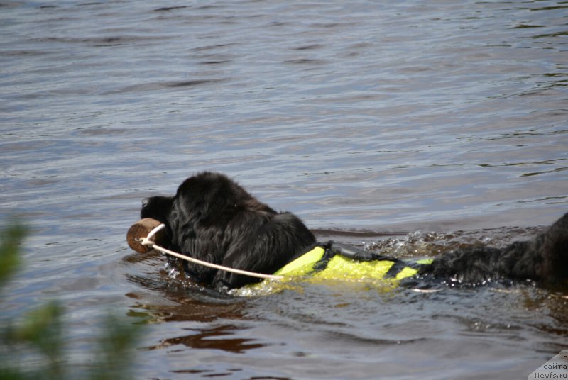 Фотография № 187802