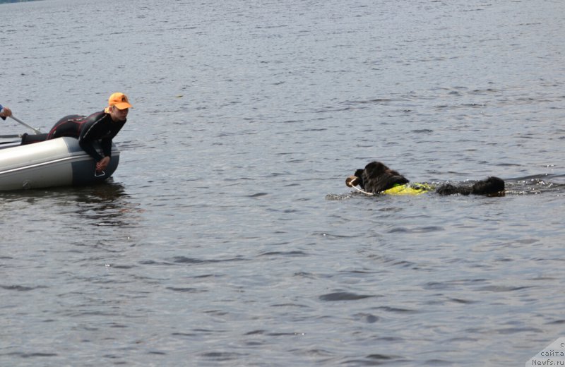 Фотография № 187803