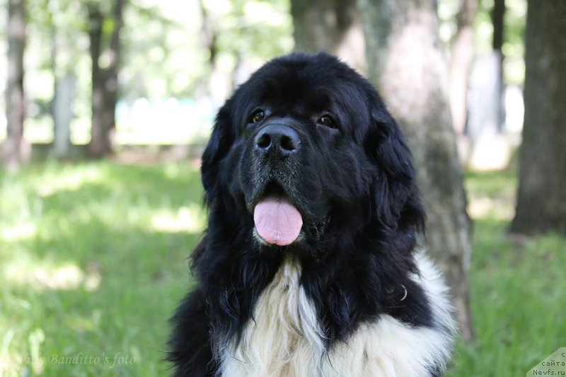 Фотография № 187807