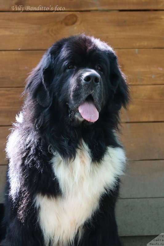 Фотография № 187808