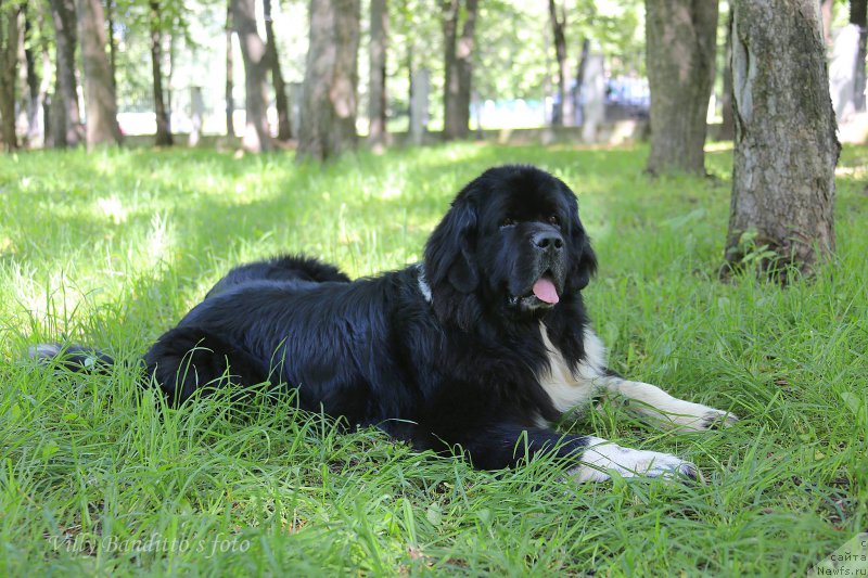 Фотография № 187809