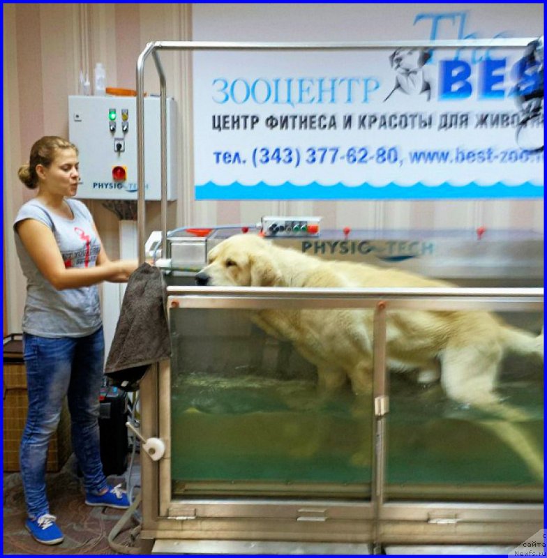 Фотография № 187810