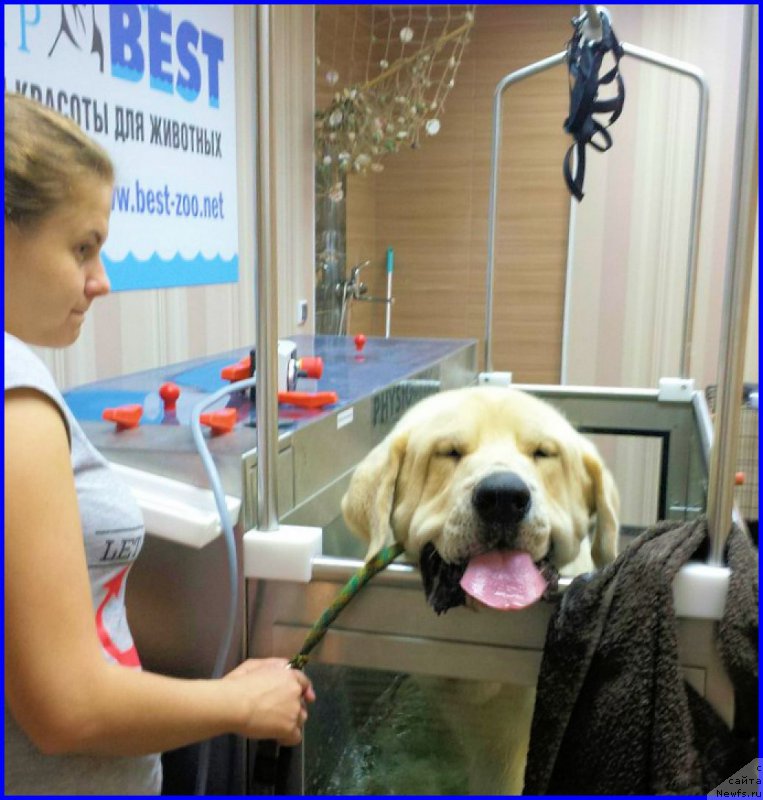 Фотография № 187811