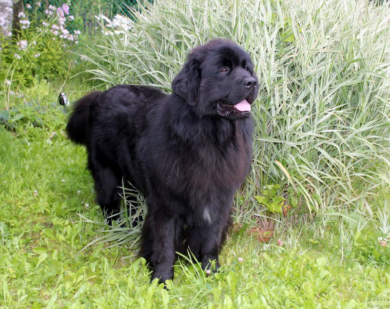 Фотография № 187819