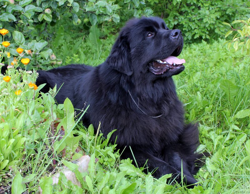 Фотография № 187822