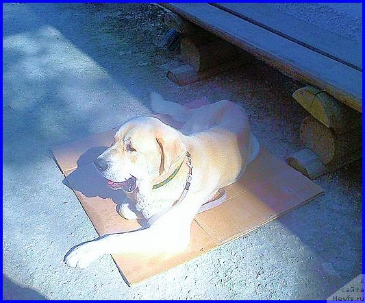 Фотография № 187823