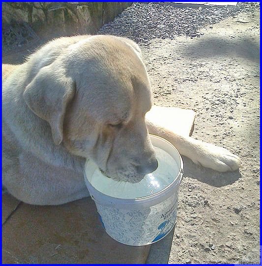 Фотография № 187824