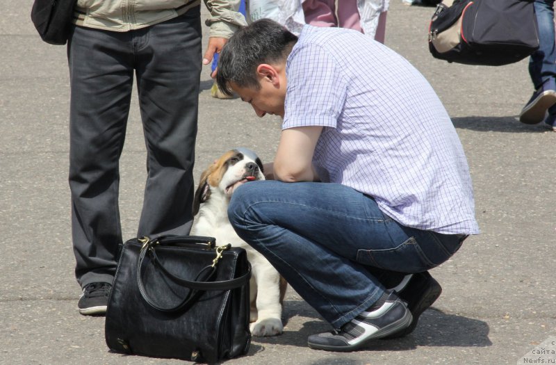 Фотография № 187828