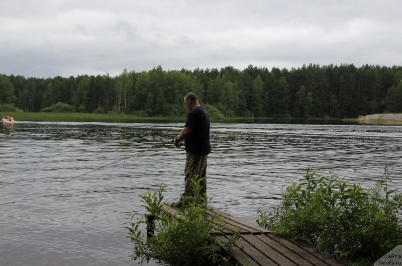 Фотография № 187839