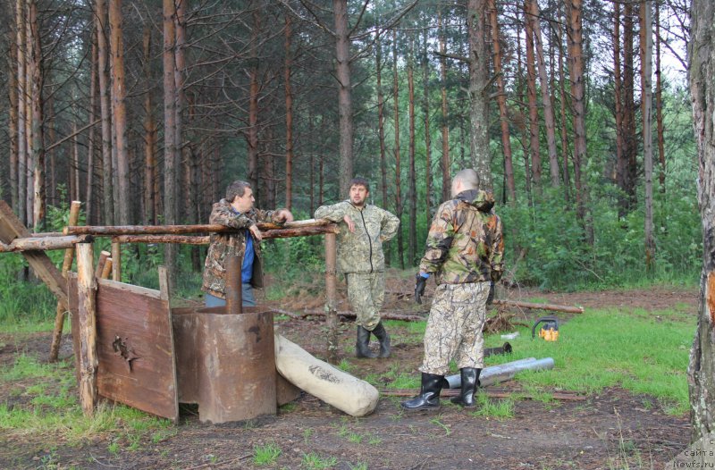 Фотография № 187845