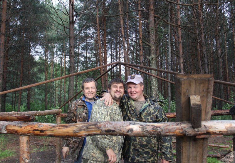 Фотография № 187851