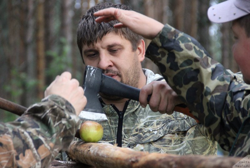 Фотография № 187853