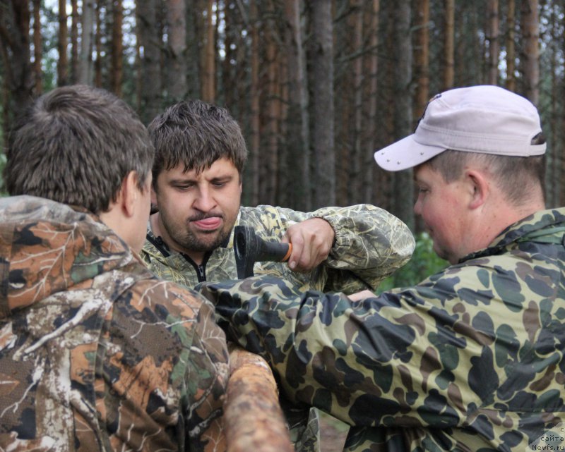 Фотография № 187854