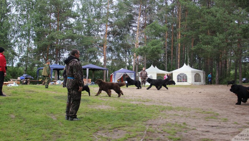 Фотография № 187861