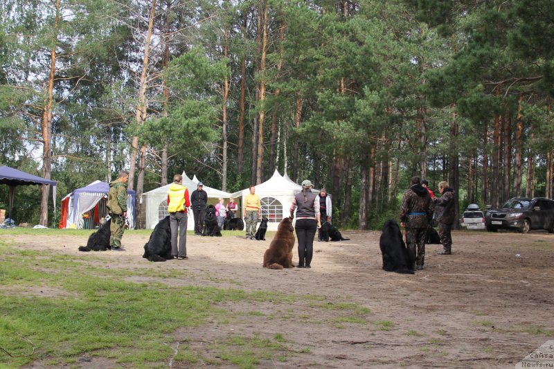 Фотография № 187862