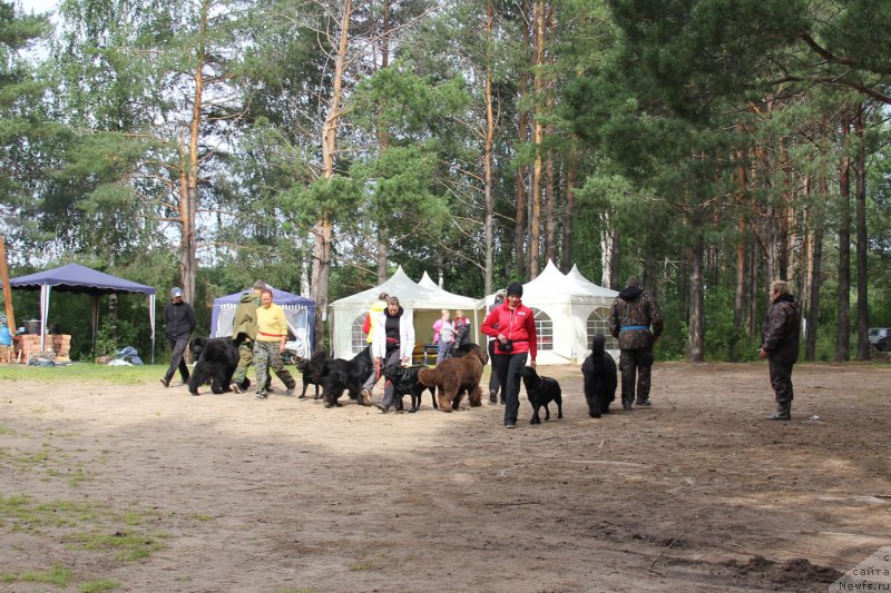 Фотография № 187863