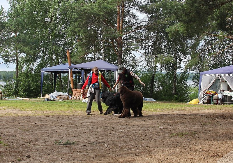 Фотография № 187865