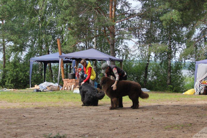 Фотография № 187866