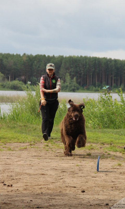 Фотография № 187867