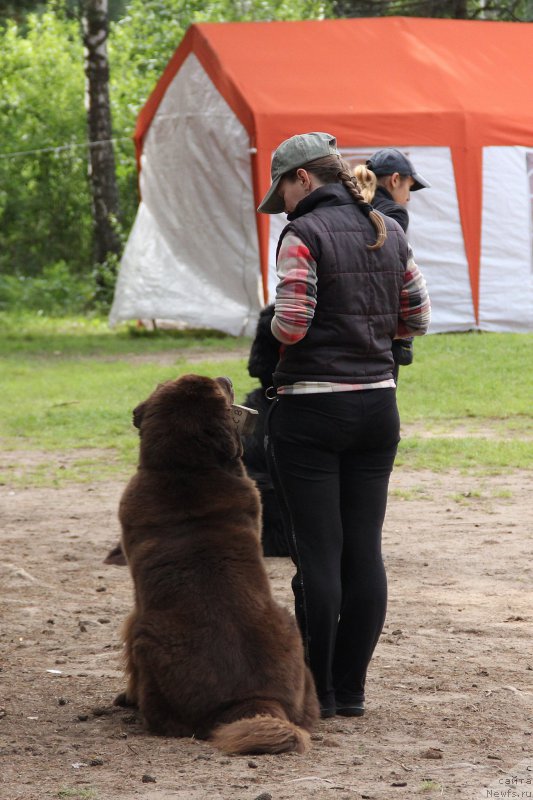 Фотография № 187870