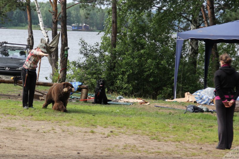 Фотография № 187871