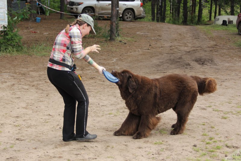 Фотография № 187873