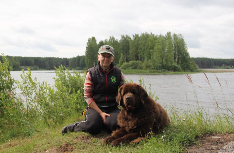 Фотография № 187875