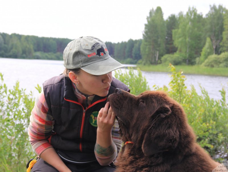 Фотография № 187876