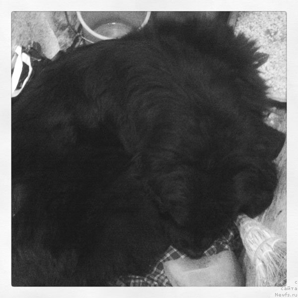 Фотография № 187884