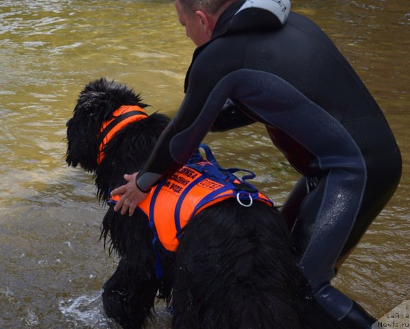 Фотография № 187930