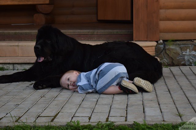 Фотография № 187932