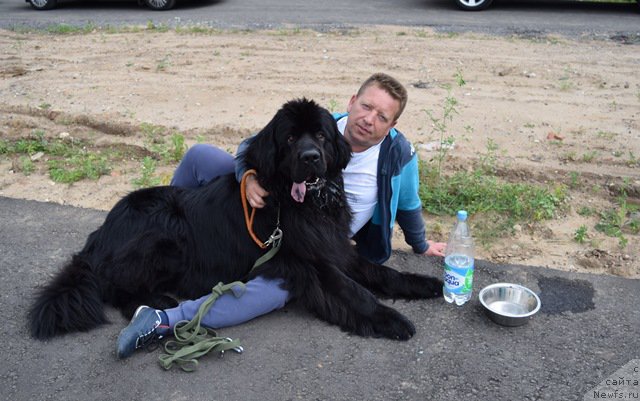 Фотография № 187934