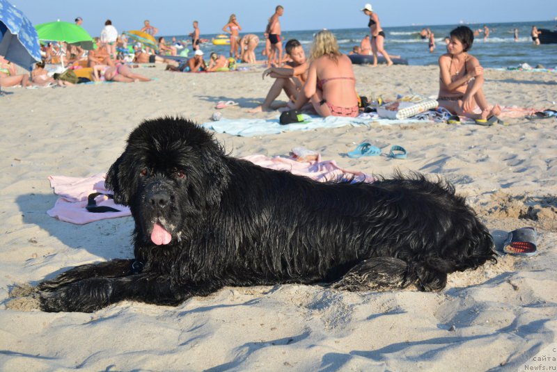 Фотография № 187944